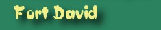 Fort David