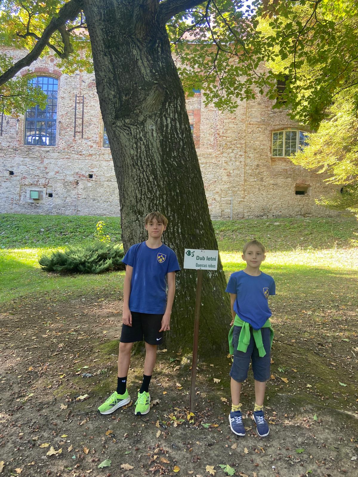 Foto 18